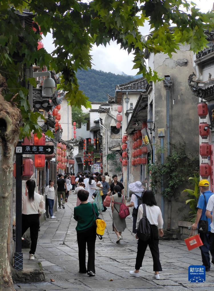 百家乐龙宝